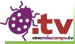 logotipo de www.cinemascampo.tv