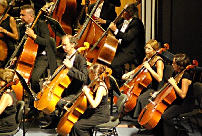 Contrabajos y violonchelos de la Filarmónica