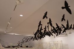 detalle del montaje de la sala para exponer con el techo lleno de aves recortadas