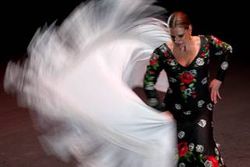 3ª Bienal de Flamenco de Málaga. Agenda de Flamenco.