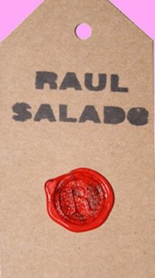 Raúl Salado, diseñador de moda