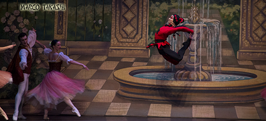 El lago de los cisnes, Royal Russian Ballet, Teatro Cervantes,