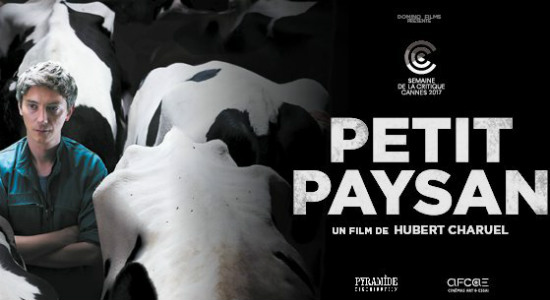 Petit paysan, Hubert Charuel, Cine Albéniz, 23 Festival de Cine Francés de Málaga,