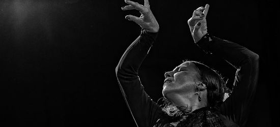 V Bienal de Arte Flamenco de Málaga, Carmen González,