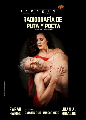 Juan Antonio Hidalgo Granados, Radiografía de Puta y Poeta, Teatro Echegaray,