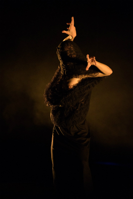 Olga Pericet, X Festival Marbella Todo Danza, Teatro Ciudad de Marbella,