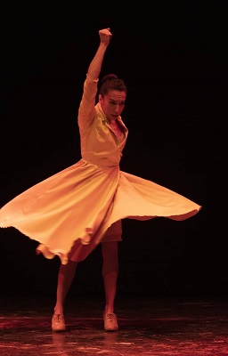 Nieves Rosales, Silencio Danza, No amanece en Génova, Raul Cortés, Festival de Danza, Málaga, Festival Solidario Comedor Santo Domingo, Factoria Echegaray