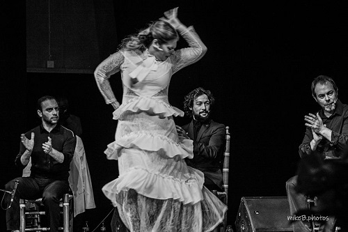 XLII Festival Juan Breva, Velez-Málaga, Diego del Morao, Rancapino Chico, Pastora Galván, Miguel Levi, David el Galli, Juan Requena, Fabiola Santiago, Fran Vinuesa, Flamenco Abierto.