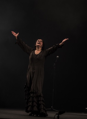 Eva Yerbabuena, Bienal de Flamenco de Sevilla, Re-fracción (desde mis ojos)